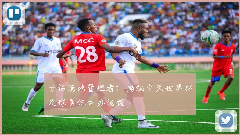 专访场地管理者：揭秘今天世界杯足球具体举办场馆
