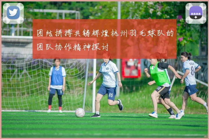 团结拼搏共铸辉煌杭州羽毛球队的团队协作精神探讨