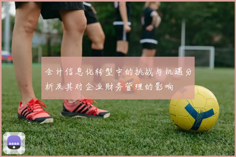 会计信息化转型中的挑战与机遇分析及其对企业财务管理的影响