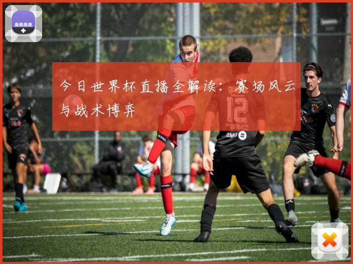 今日世界杯直播全解读:赛场风云与战术博弈