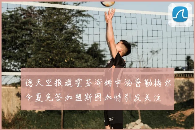 德天空报道霍芬海姆中场普勒梅尔今夏免签加盟斯图加特引发关注