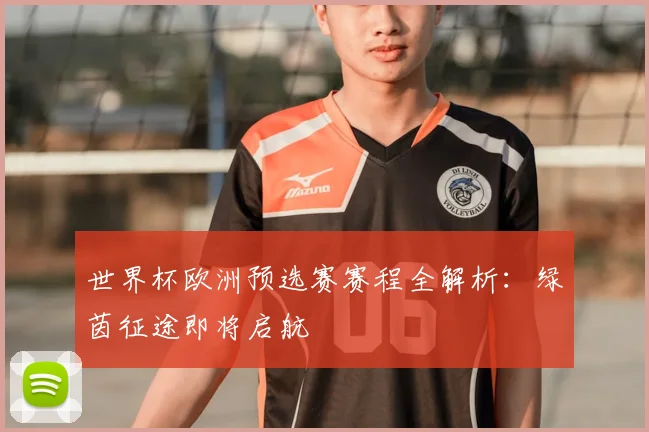 世界杯欧洲预选赛赛程全解析:绿茵征途即将启航