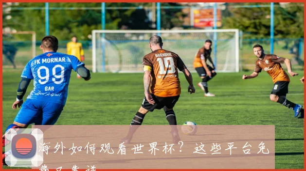 海外如何观看世界杯?这些平台免费又靠谱