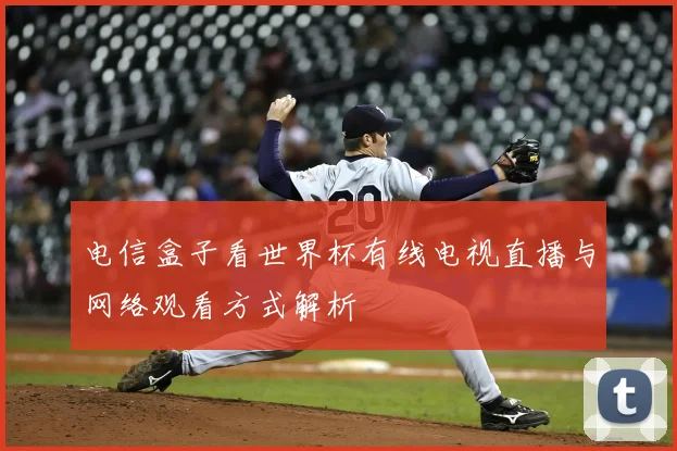 电信盒子看世界杯有线电视直播与网络观看方式解析