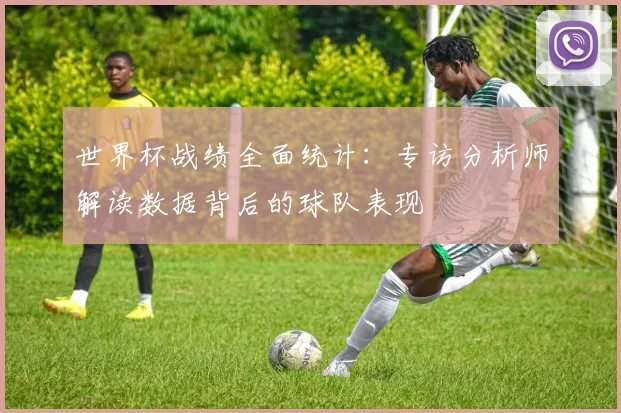 世界杯战绩全面统计:专访分析师解读数据背后的球队表现