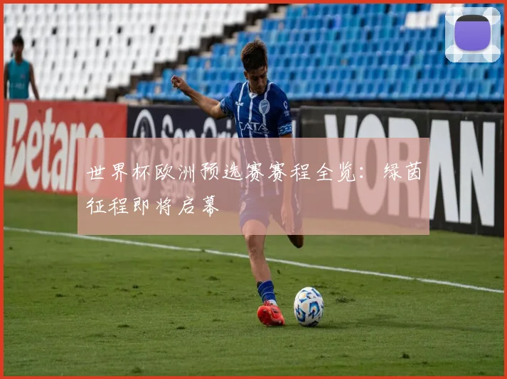 世界杯欧洲预选赛赛程全览:绿茵征程即将启幕