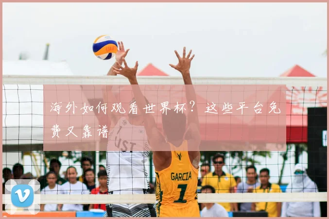 海外如何观看世界杯?这些平台免费又靠谱