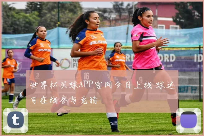 世界杯买球APP官网今日上线 球迷可在线参与竞猜