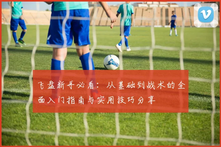 飞盘新手必看:从基础到战术的全面入门指南与实用技巧分享