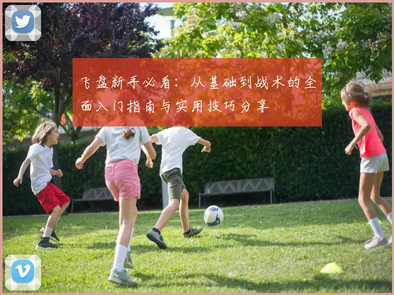 飞盘新手必看:从基础到战术的全面入门指南与实用技巧分享