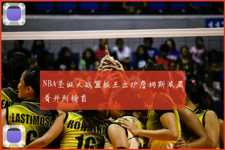 NBA圣诞大战篮板王出炉詹姆斯浓眉哥并列榜首
