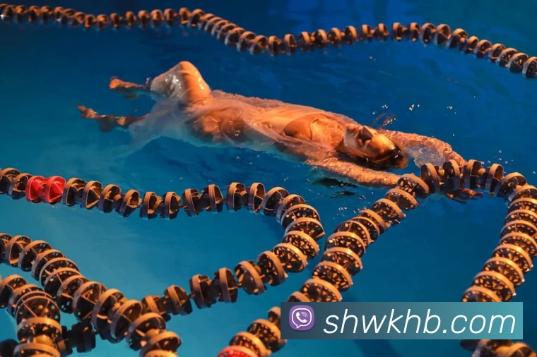 华体会体育APP 封面图