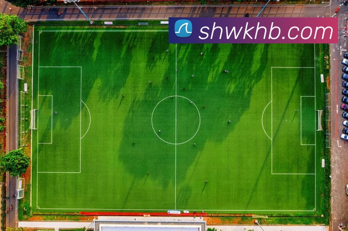 数据防护可视化